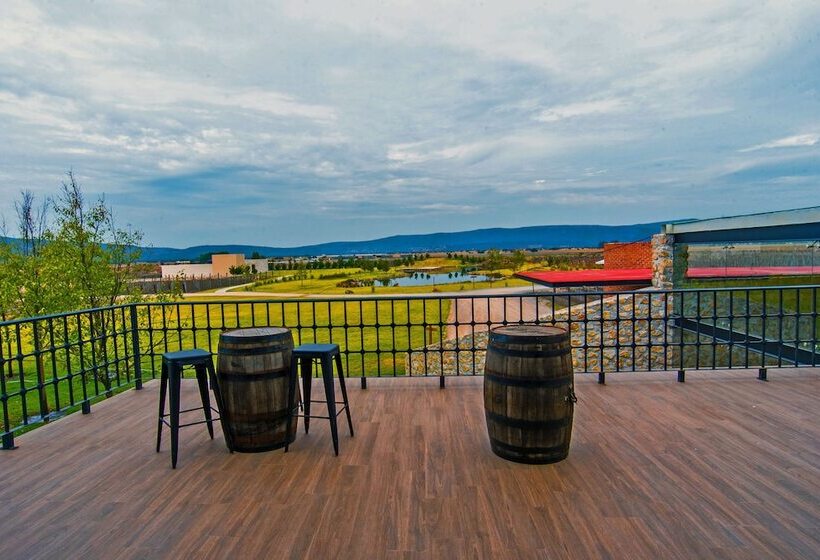 فندق Viña Del Cielo