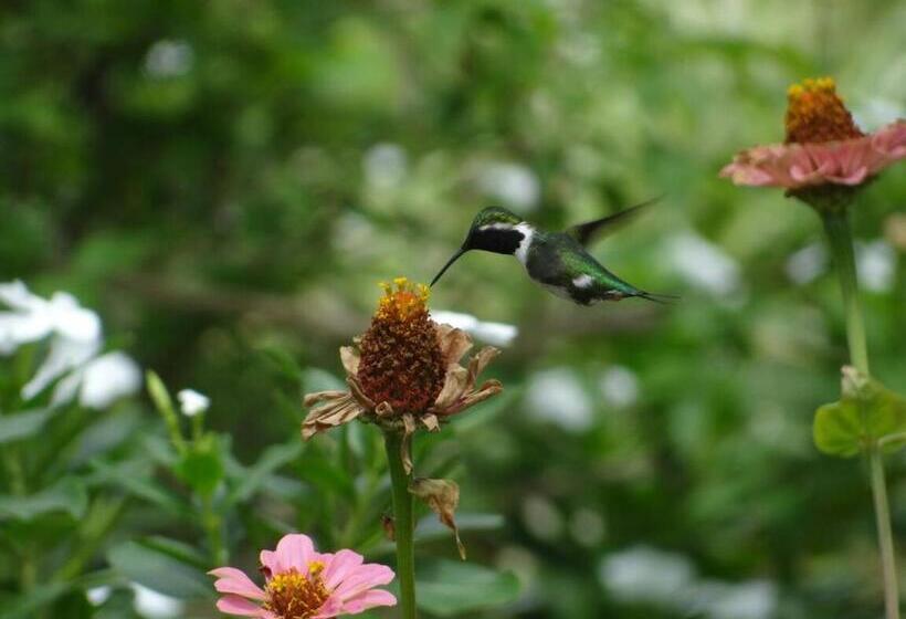 Pension Hostal Los Orishas