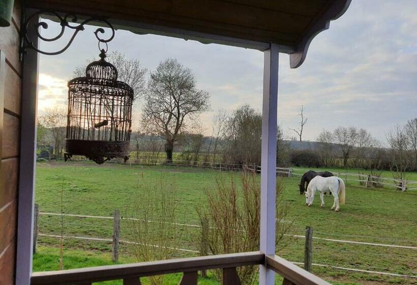 بنسيون Les Roulottes De La Brauderie