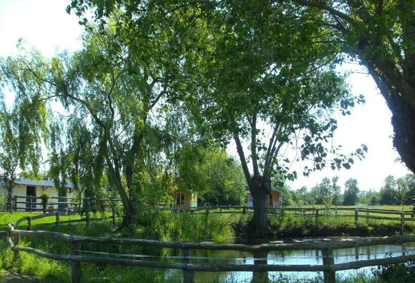 بنسيون Les Roulottes De La Brauderie