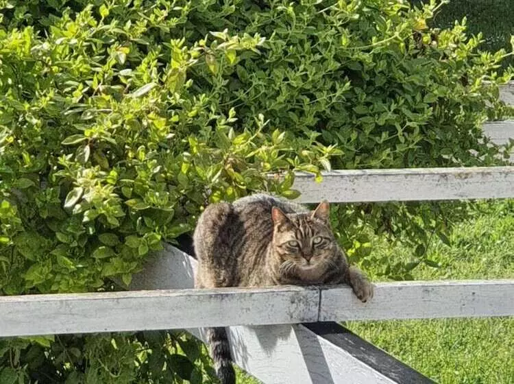 ペンション Les Roulottes De La Brauderie