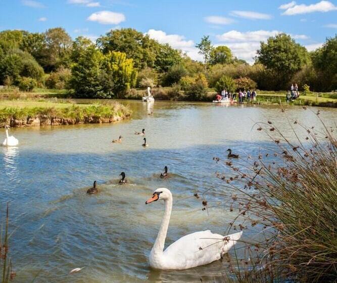 פנסיון Logis Le Manoir De La Foulerie