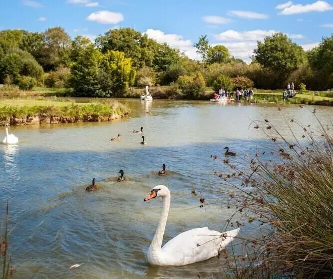 Majatalo Logis Le Manoir De La Foulerie