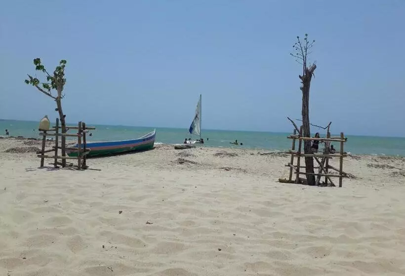 ペンション Milimar Hostal