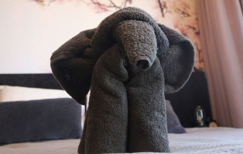 Polderhuis Bed & Breakfast