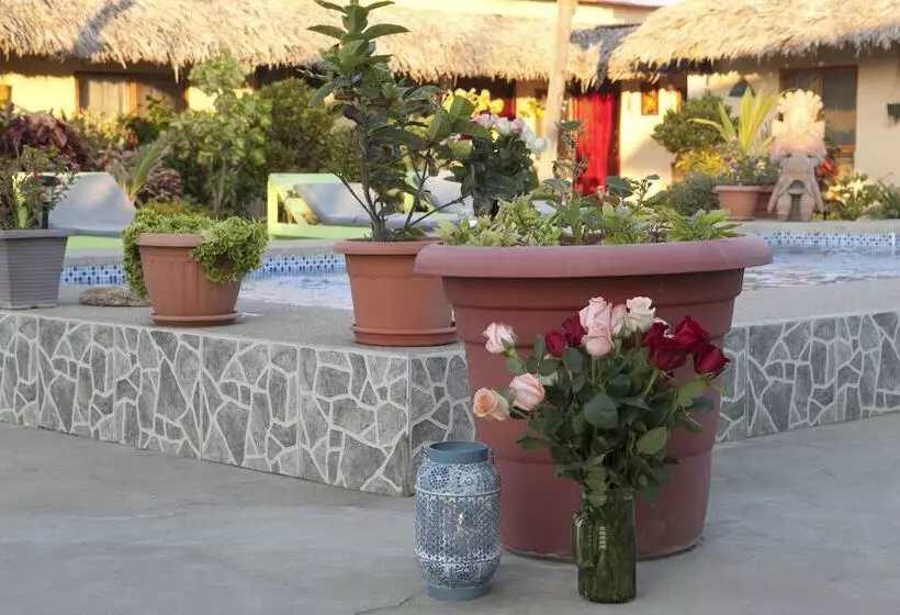 The Cottages By The Sea