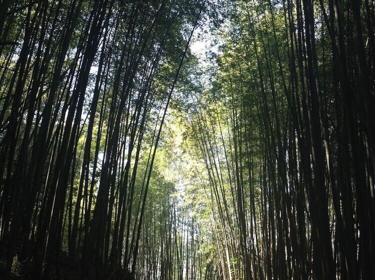 هتل Walk Cloud B&b