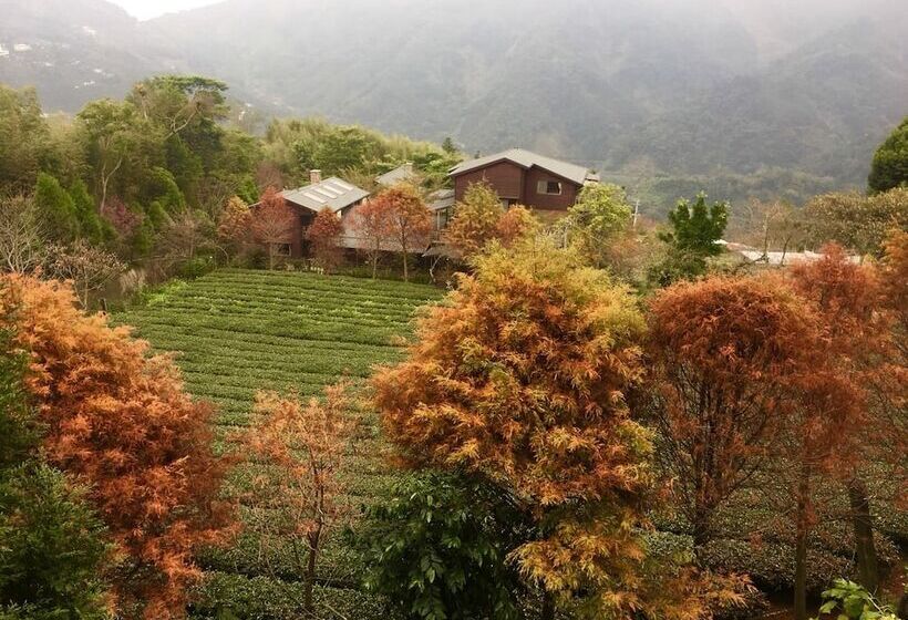 هتل Walk Cloud B&b