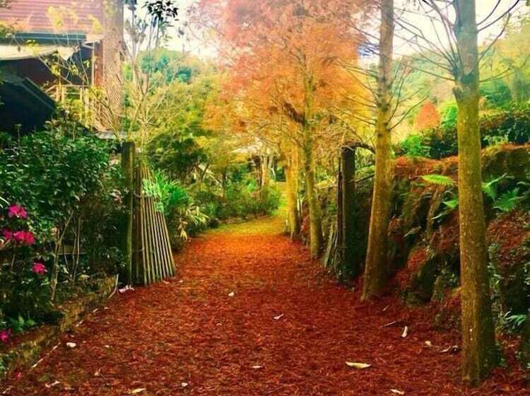 هتل Walk Cloud B&b