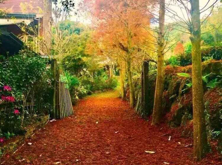 هتل Walk Cloud B&b