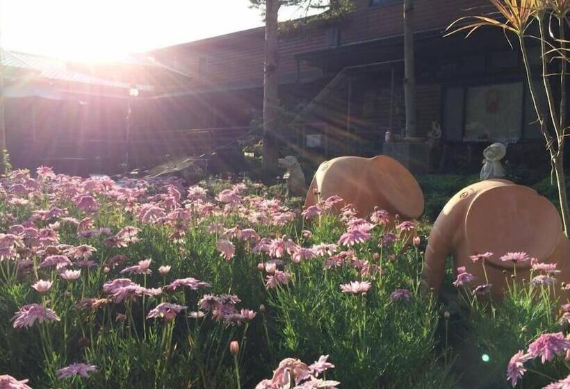 هتل Walk Cloud B&b