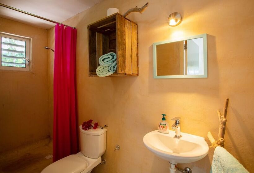 Tropical Breeze Apartments