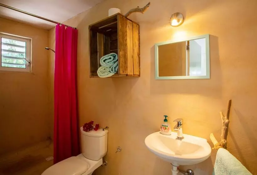 Tropical Breeze Apartments