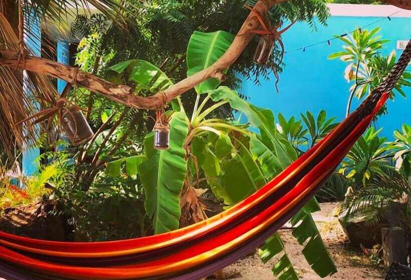 Tropical Breeze Apartments