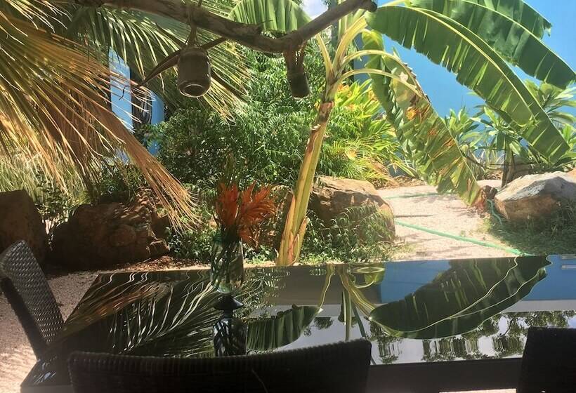 Tropical Breeze Apartments