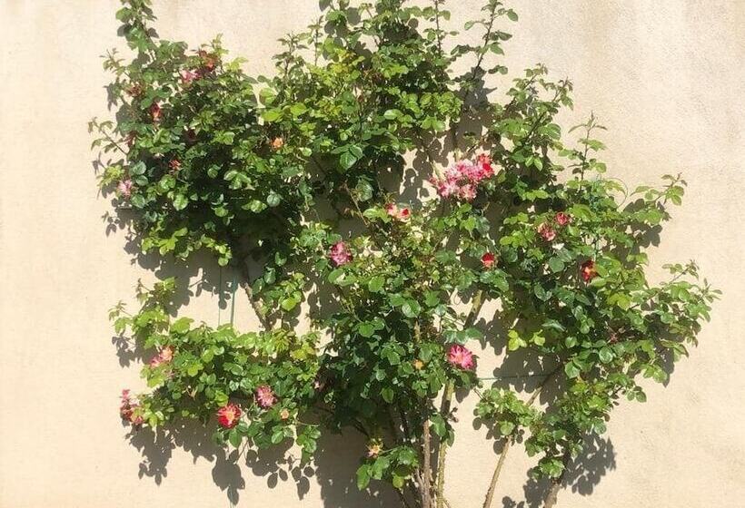 ベッドアンドブレックファースト Chambres D Hôtes Mas De L Evidence