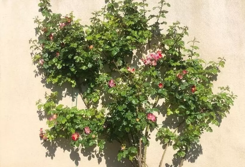 Aamiaismajoitus (B&B) Chambres D Hôtes Mas De L Evidence