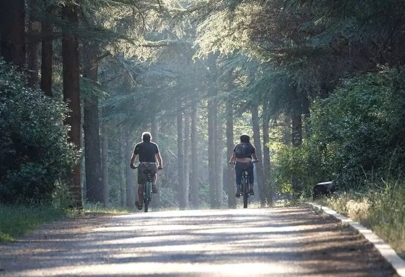 Hotelli Camping Le Vallon