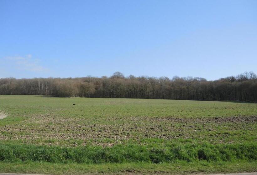 Пансион Chambres D Hôtes Les Colombes