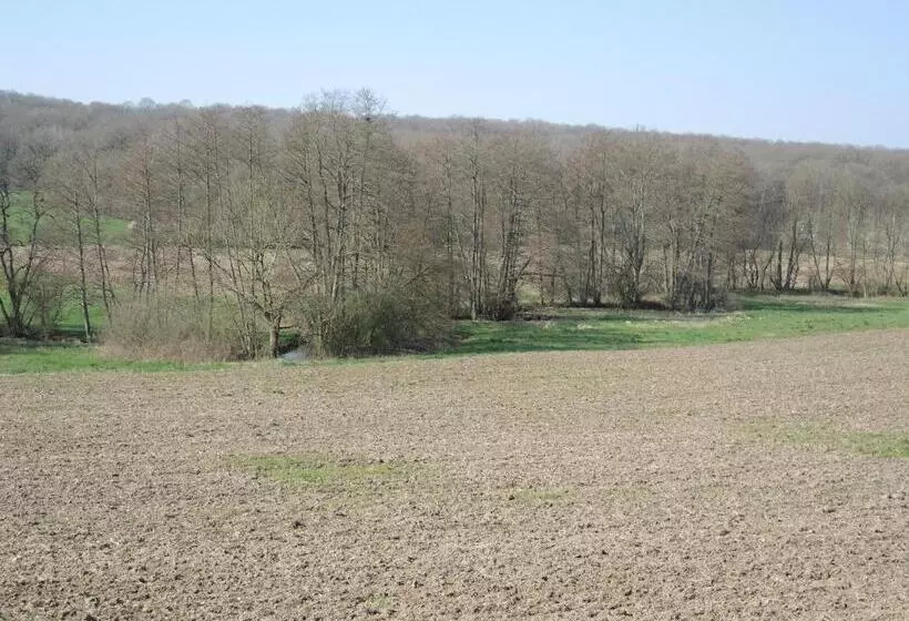 ペンション Chambres D Hôtes Les Colombes