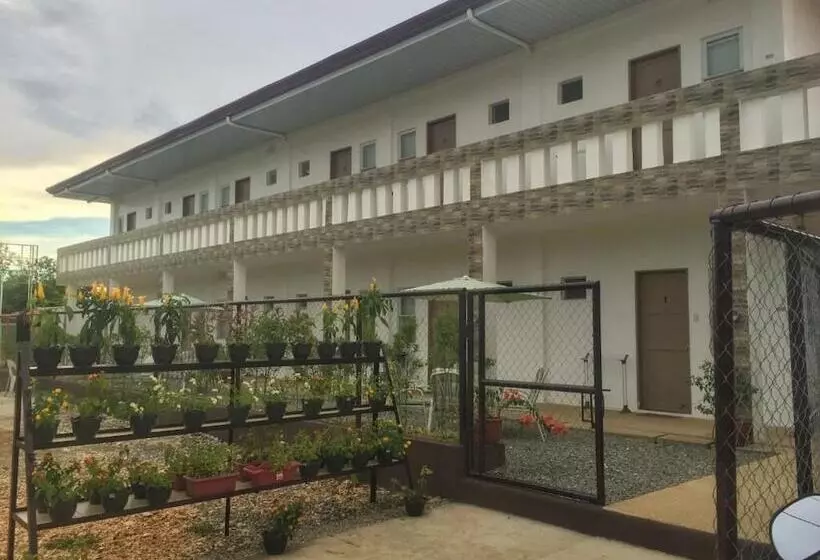 Alaia Studios