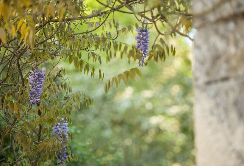 פנסיון Aux Couleurs D Esteil