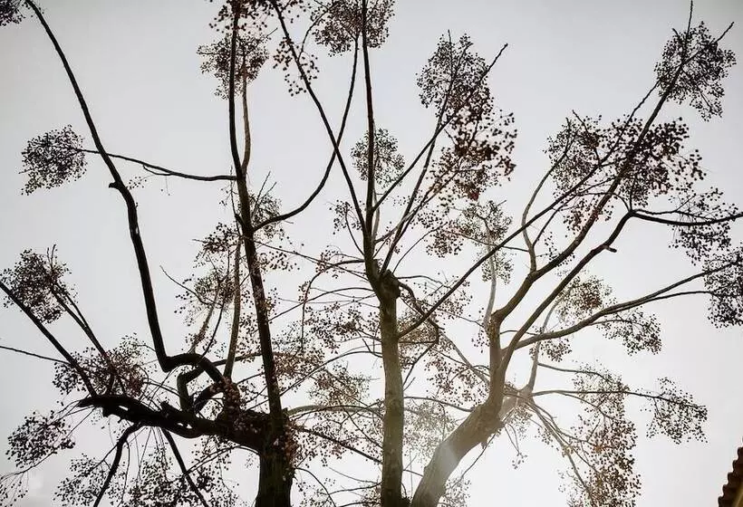 ペンション Laguna Formosa