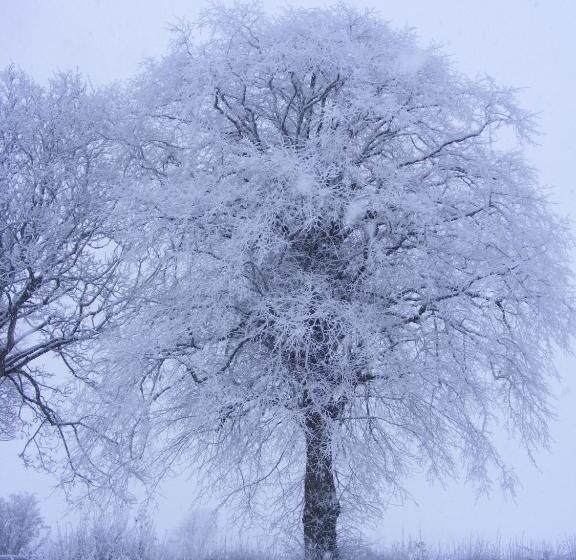 צימר Ballyhargan Farm House