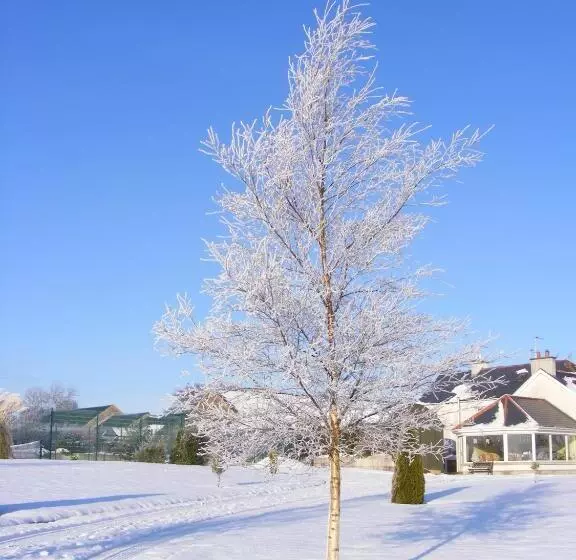 تختخواب و صبحانه Ballyhargan Farm House