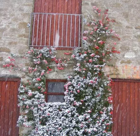 تختخواب و صبحانه Ballyhargan Farm House