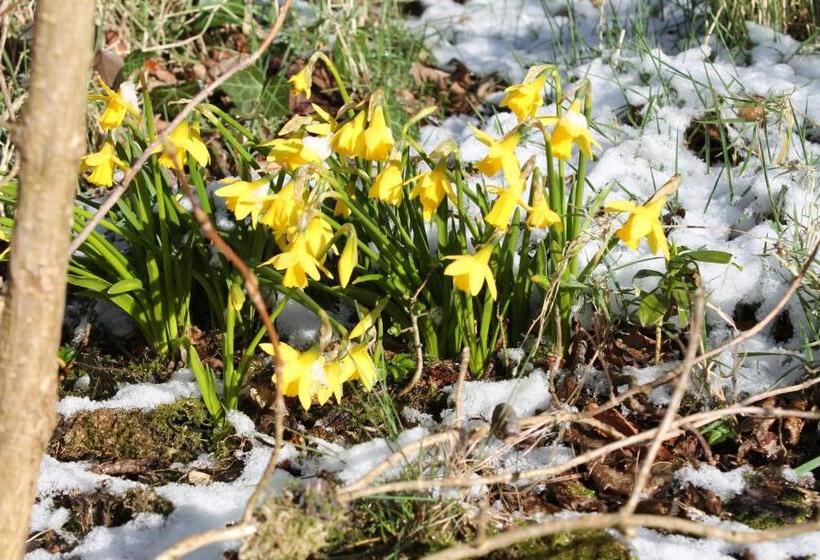 צימר Ballyhargan Farm House