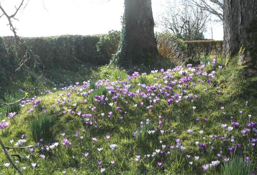 צימר Ballyhargan Farm House