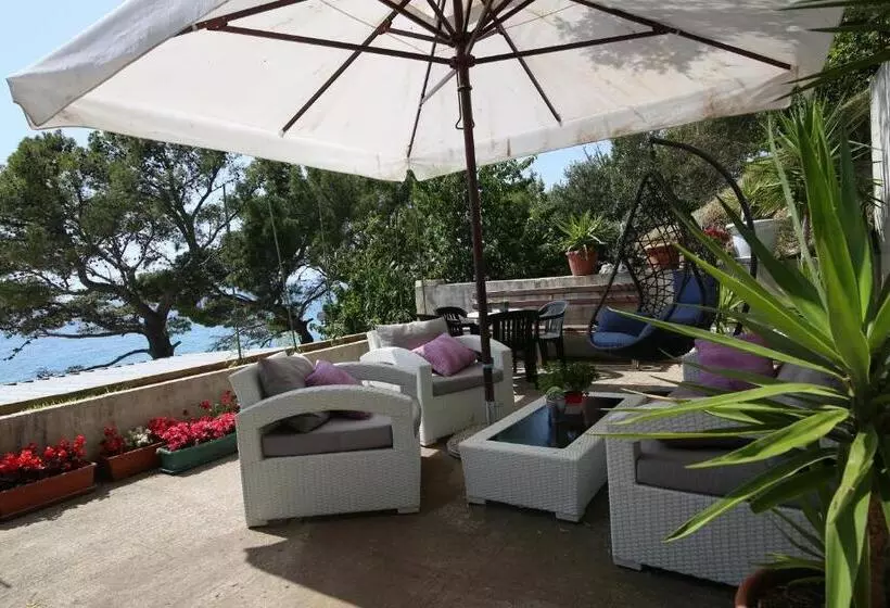 Majatalo Apartmani Daša Tučepi