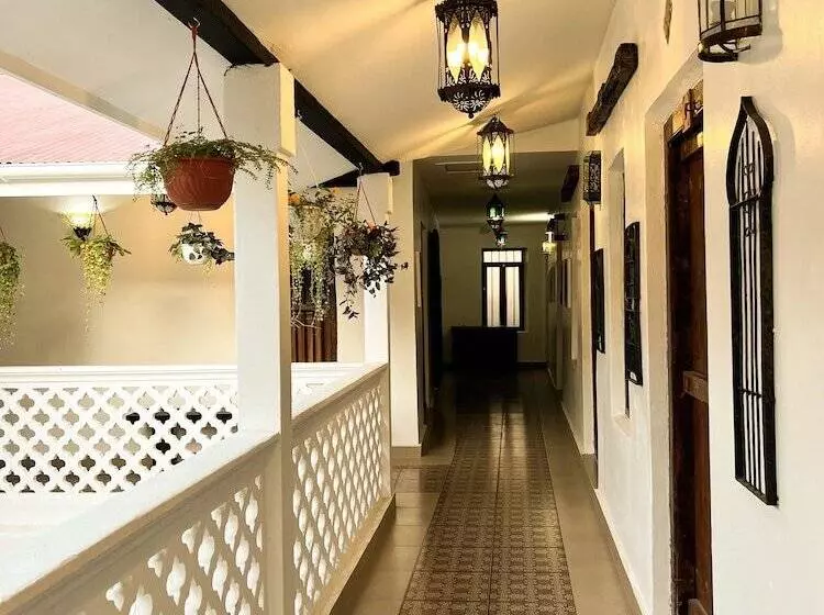 پانسیون Zanzi House