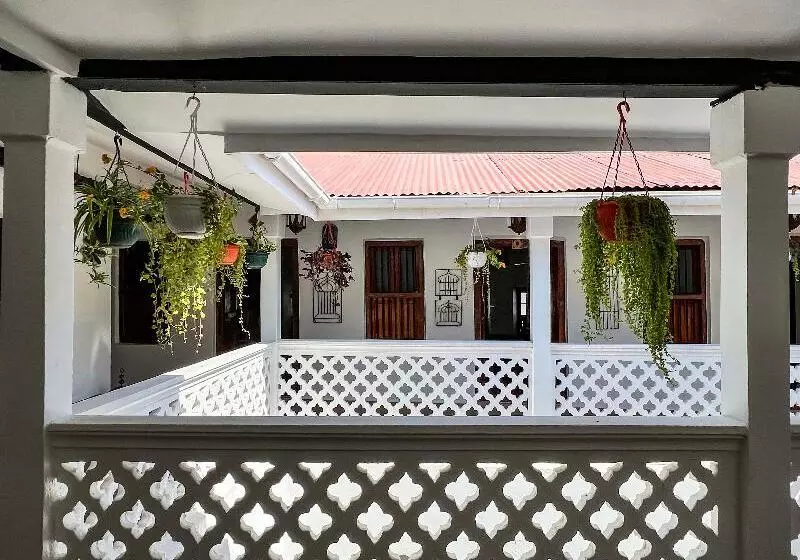 پانسیون Zanzi House