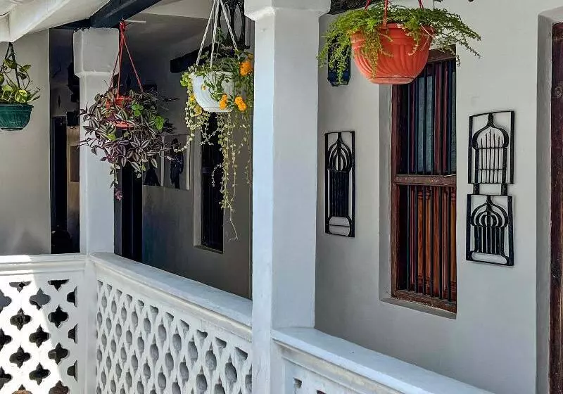 پانسیون Zanzi House