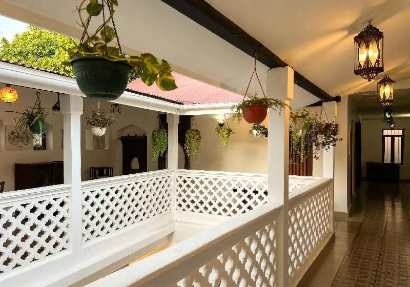 پانسیون Zanzi House