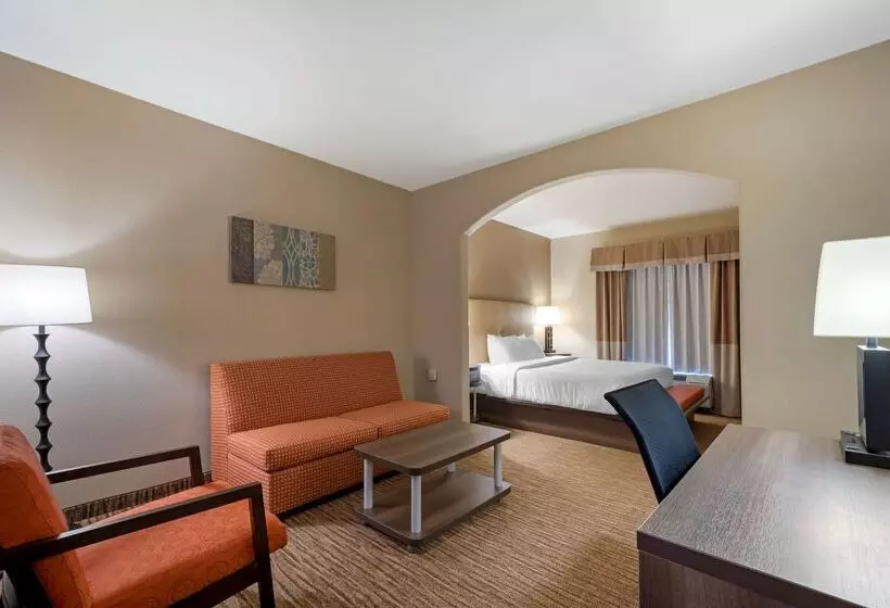 호텔 Best Western Plus Dfw Airport Suites