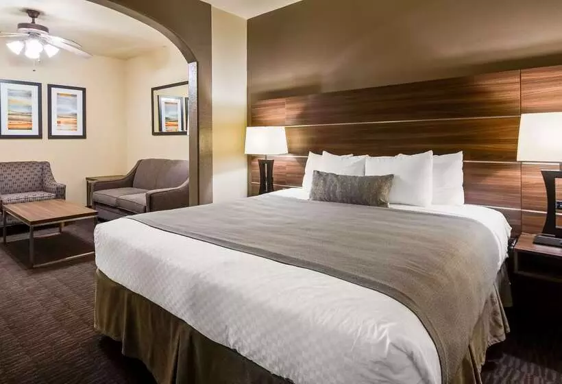 ホテル Best Western Plus Hill Country Suites   San Antonio