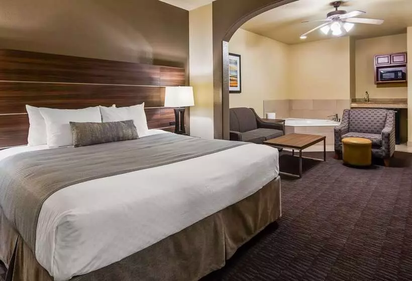 ホテル Best Western Plus Hill Country Suites   San Antonio