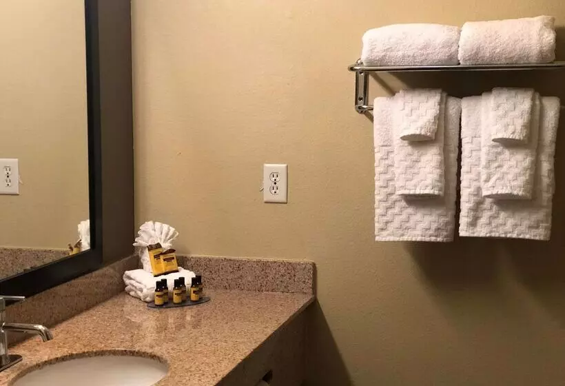 ホテル Best Western Plus Hill Country Suites   San Antonio