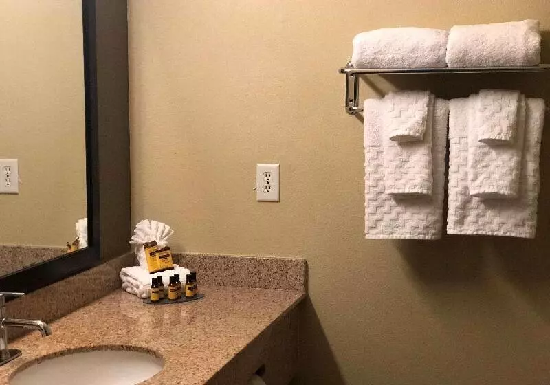 ホテル Best Western Plus Hill Country Suites   San Antonio