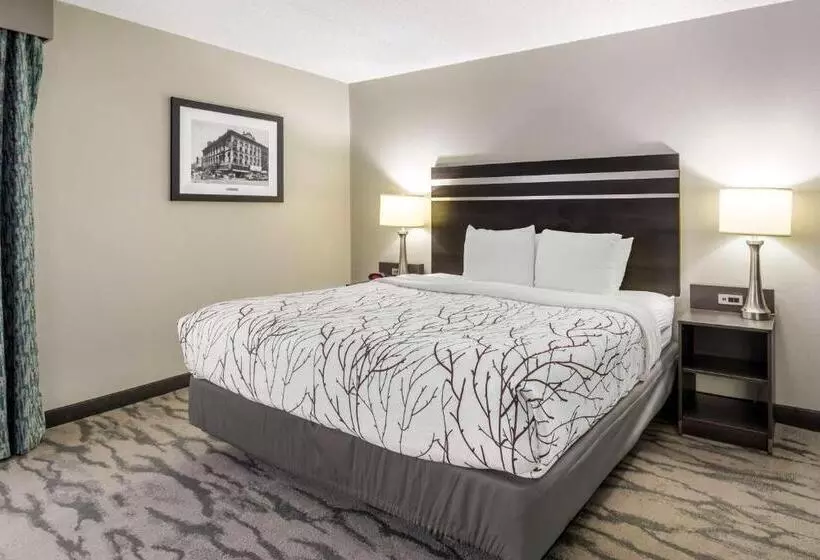 فندق Best Western Plus Knoxville Cedar Bluff