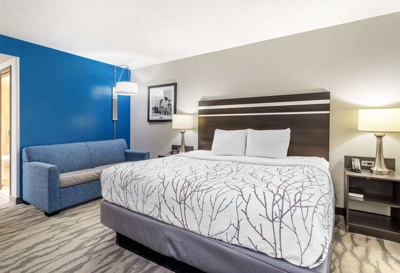 ホテル Best Western Plus Knoxville Cedar Bluff