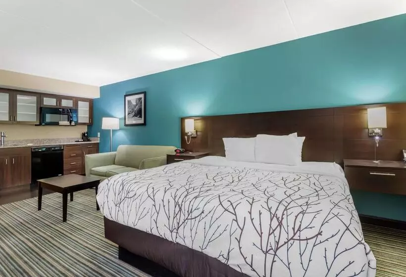 فندق Best Western Plus Knoxville Cedar Bluff