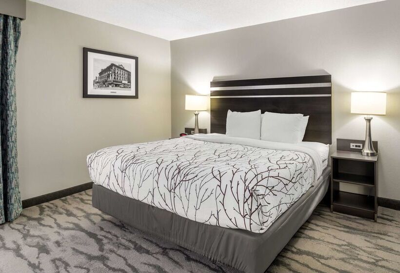 ホテル Best Western Plus Knoxville Cedar Bluff