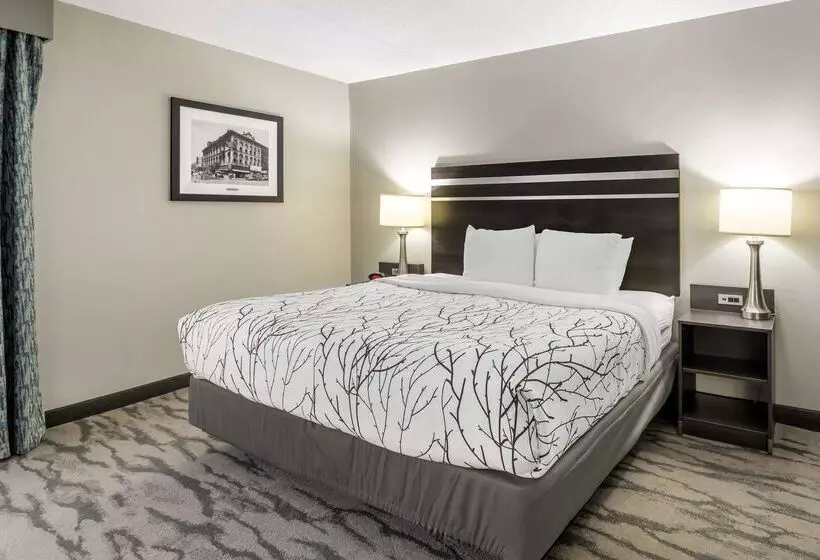 فندق Best Western Plus Knoxville Cedar Bluff