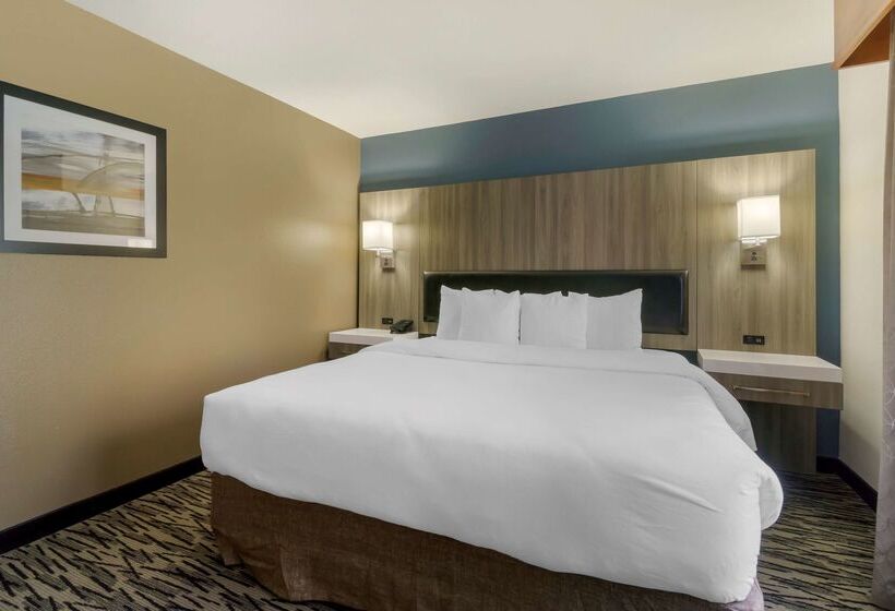 Отель Best Western Plus Mountain View Auburn Inn