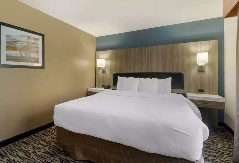 酒店 Best Western Plus Mountain View Auburn Inn