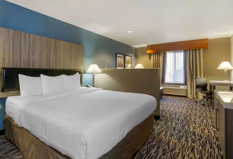 酒店 Best Western Plus Mountain View Auburn Inn